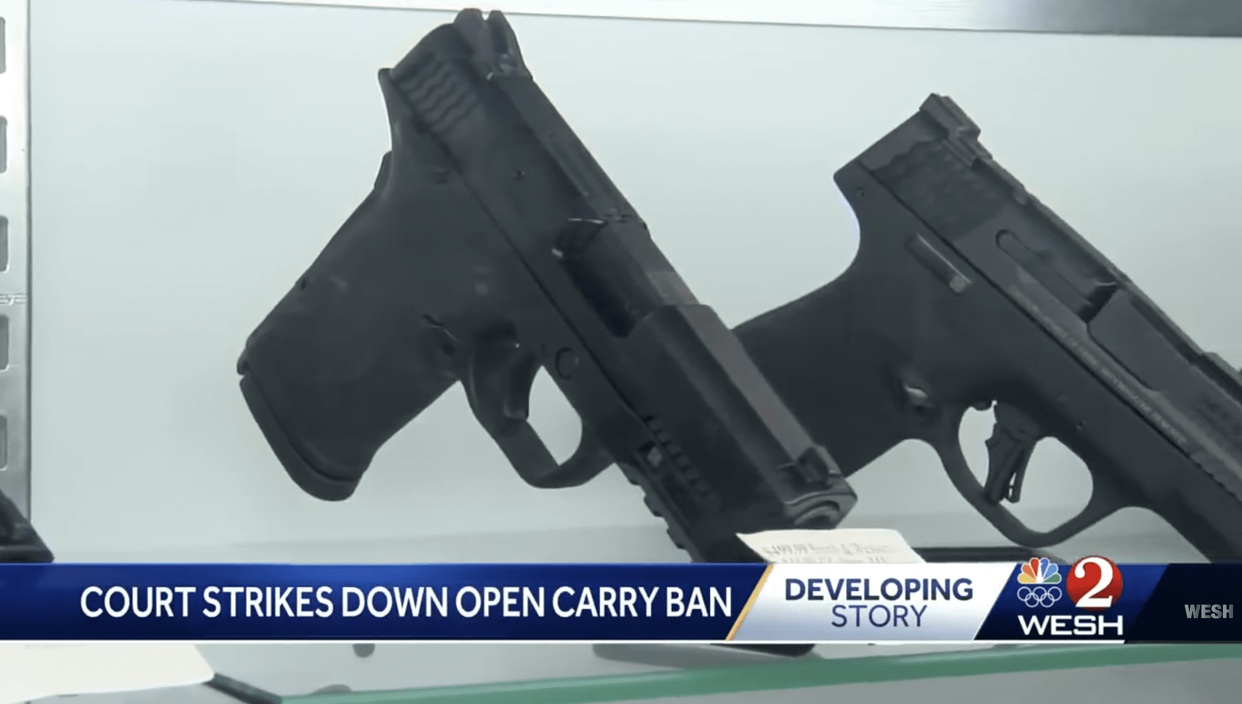 Florida Gun Laws