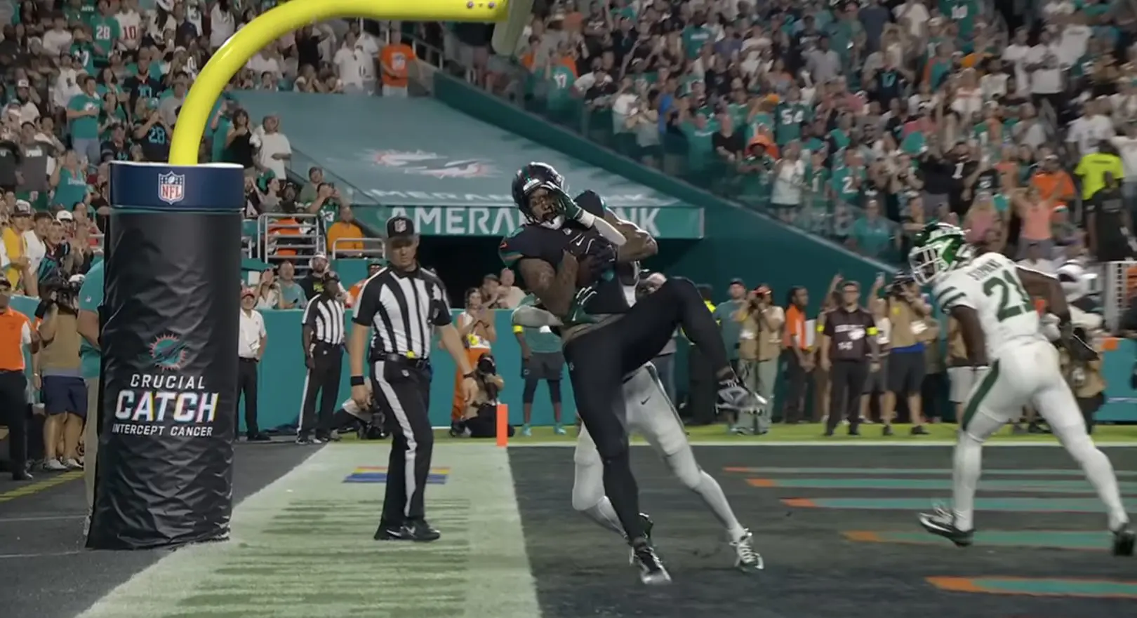 Dolphins Football