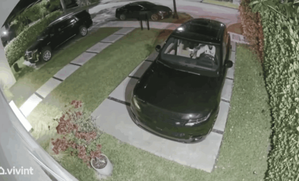 Miami Car Thieves