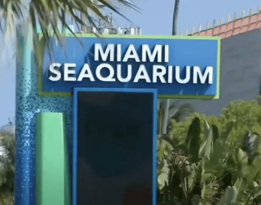Miami Seaquarium to permanently close on Sunday