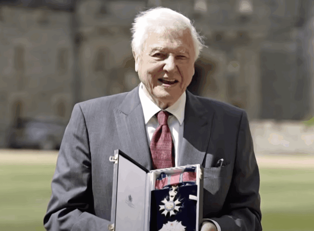 David Attenborough Sets Emmy Record