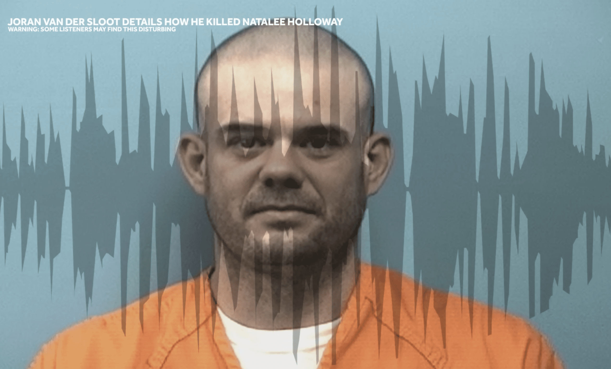 Joran van der Sloot