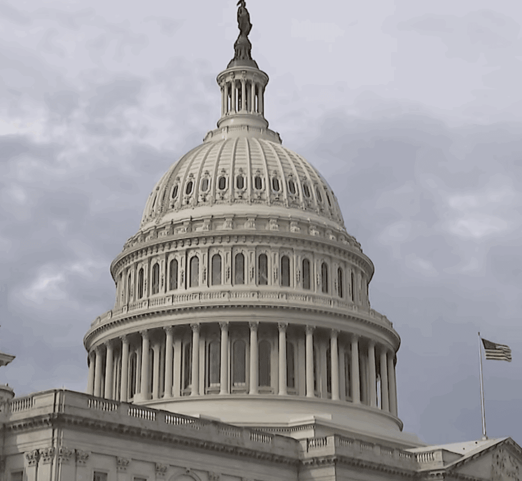 $2,000 checks from tariff revenue