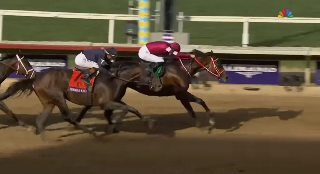 Horse Racing