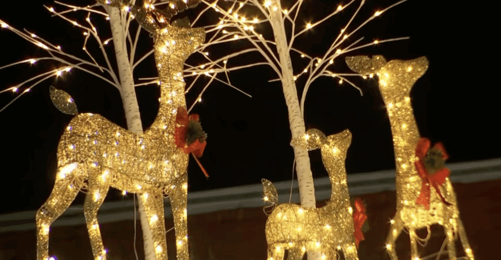 Christmas Décor