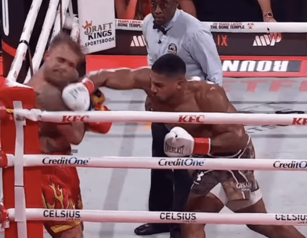 Jake Paul KO