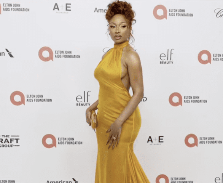 Megan Thee Stallion wins defamation trial