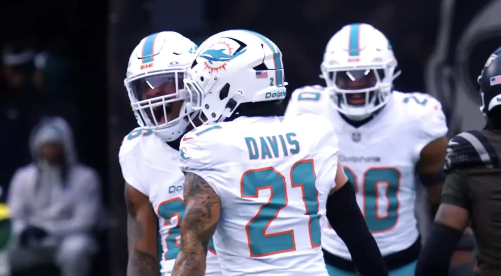 Dolphins