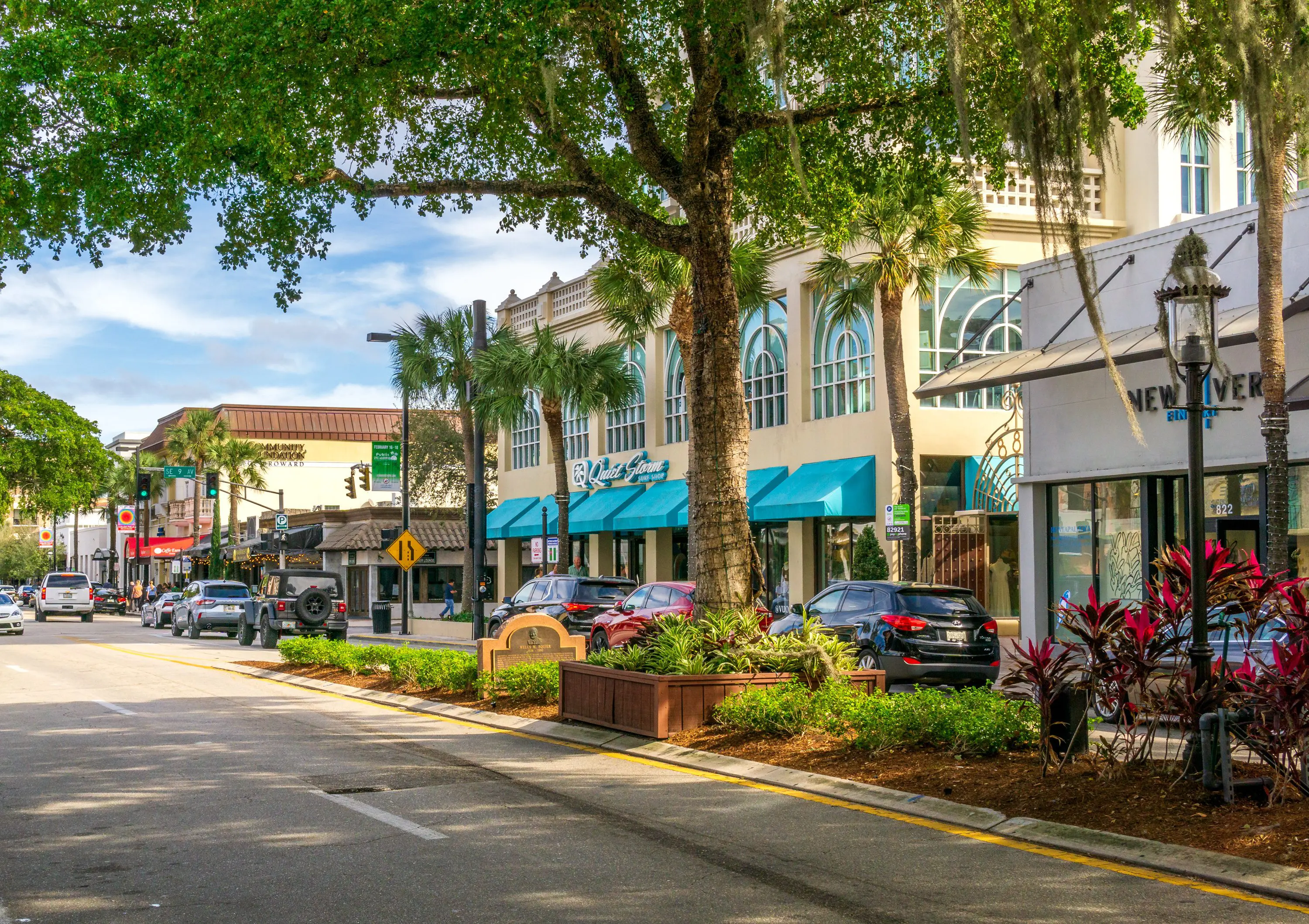 Las Olas Trees Being Cut Down