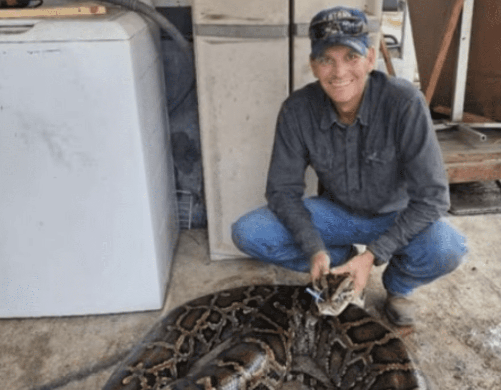 Florida Python Hunter