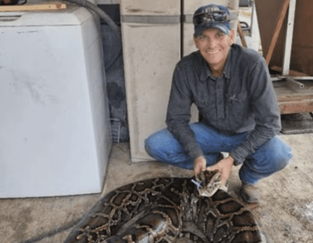 Florida Python Hunter