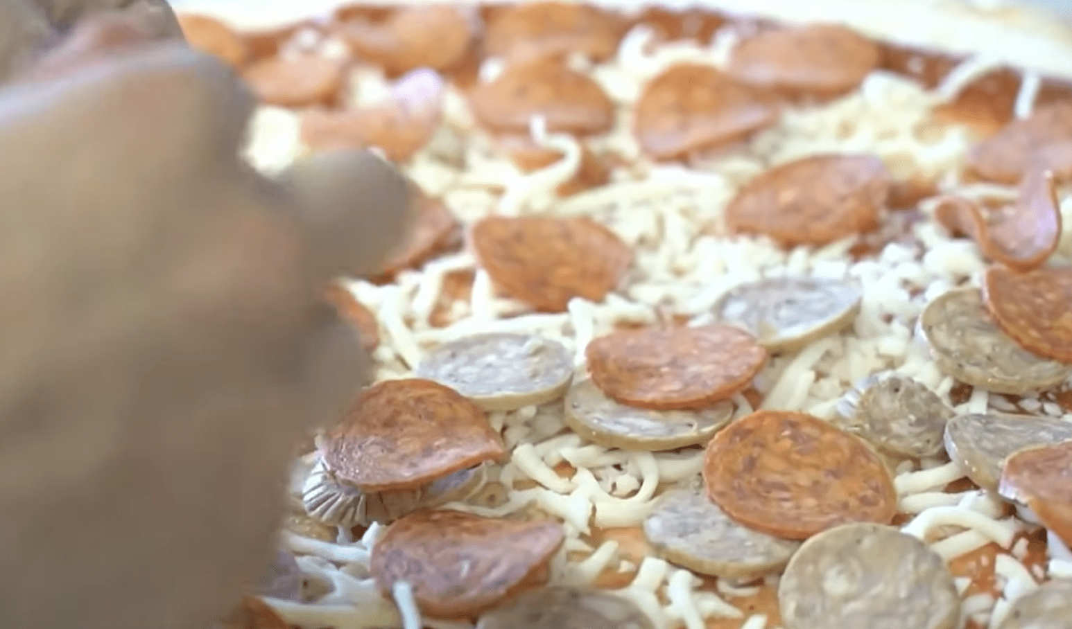 Iguana pizza in Florida