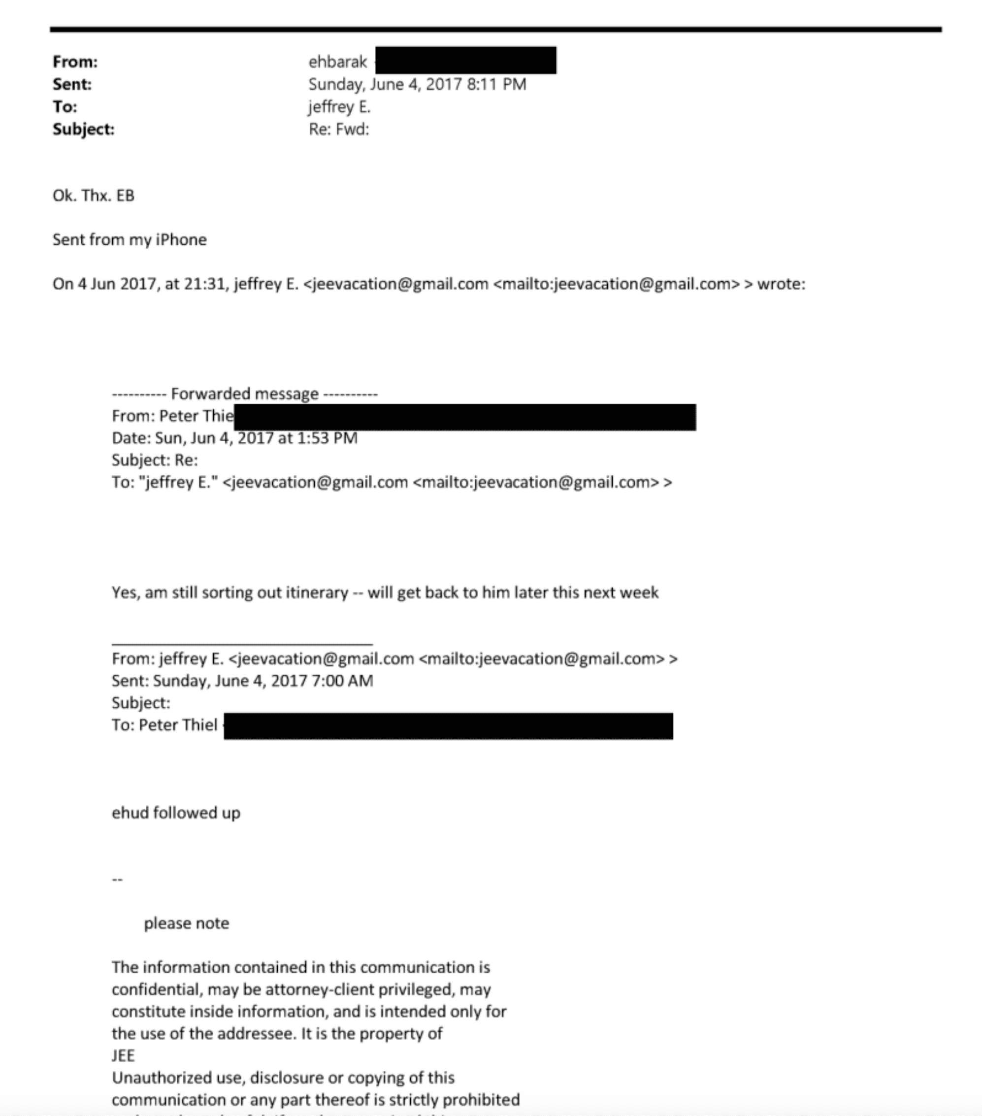 Theil and Epstein Files 