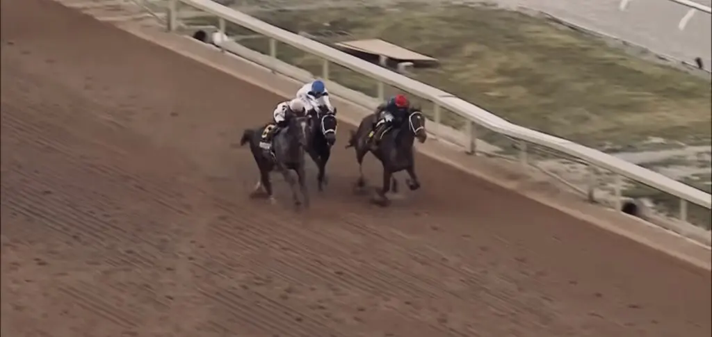 Horse Racing