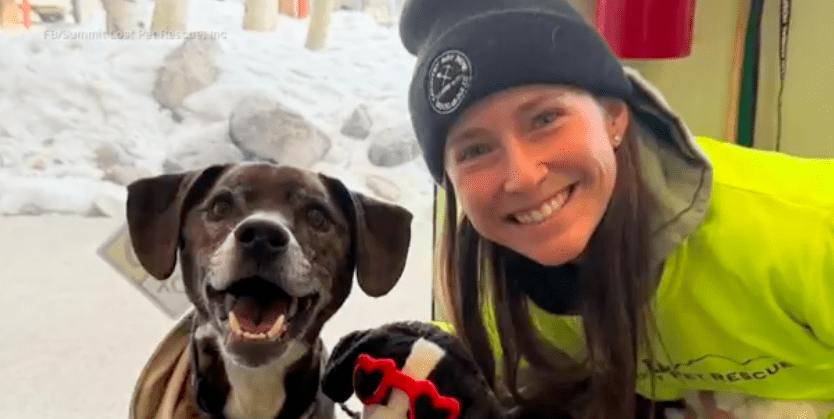 rocky rescue