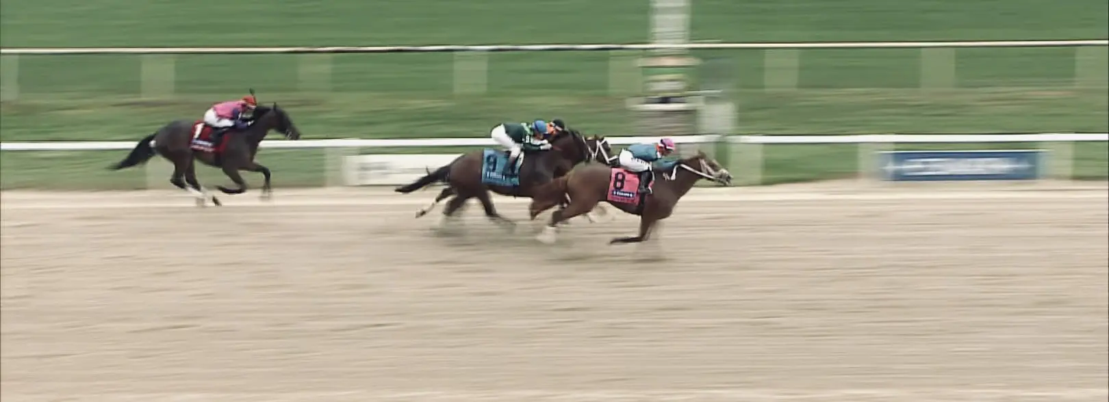 Tampa Bay Derby