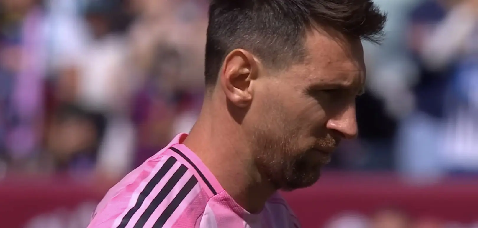 MLS