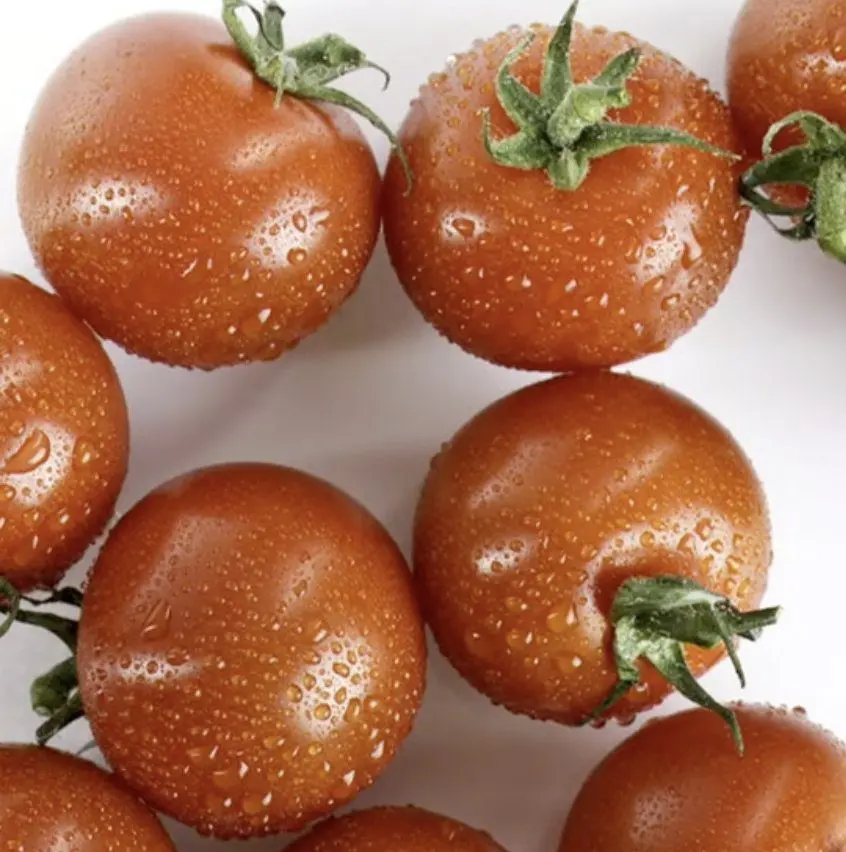 Tomato prices rising fast