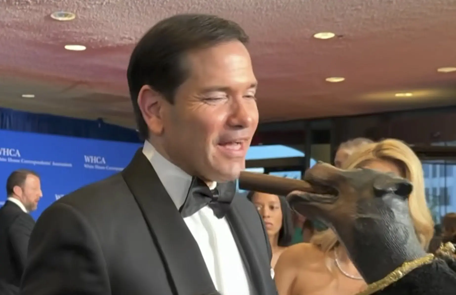 Triumph the dog and Marco Rubio