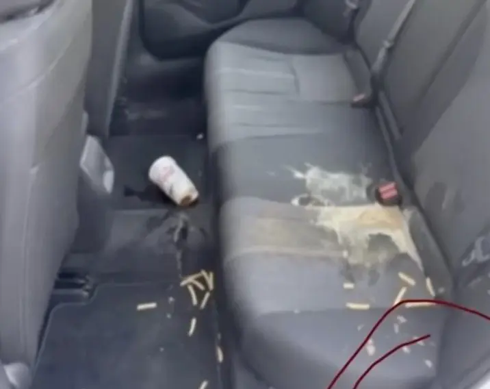 Lyft driver uses AI to falsely accuse Boca Raton man's daughters of damaging car
