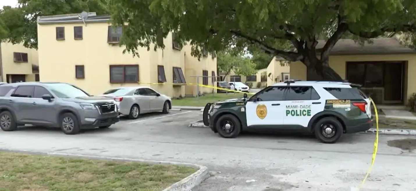 6-year-old child get access to his mother's gun, shoot himself