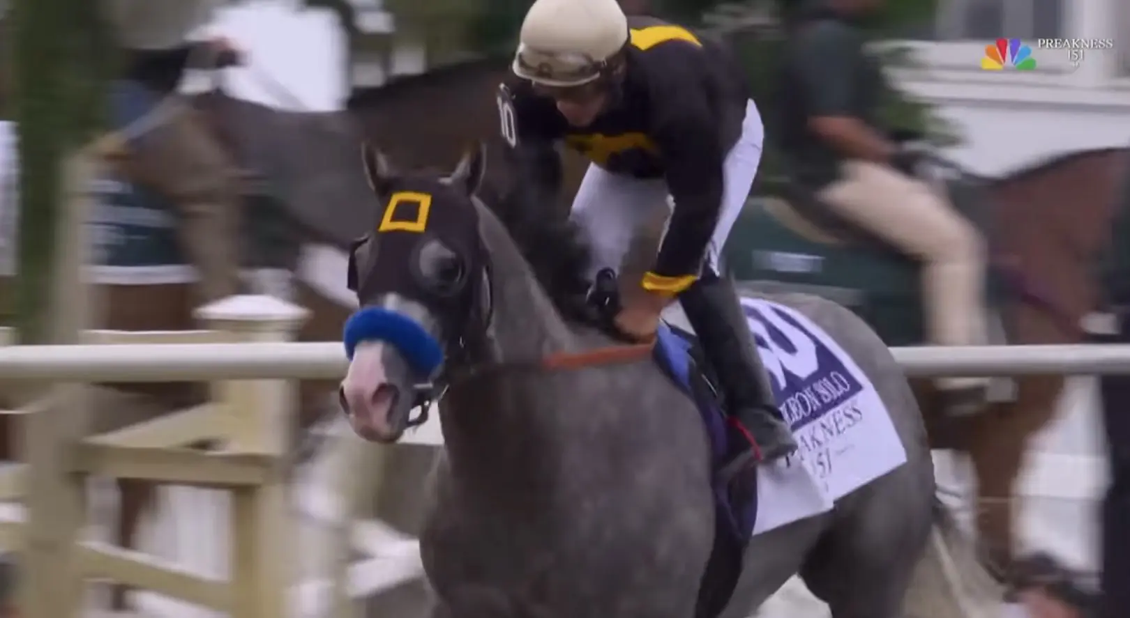 Horse Racing