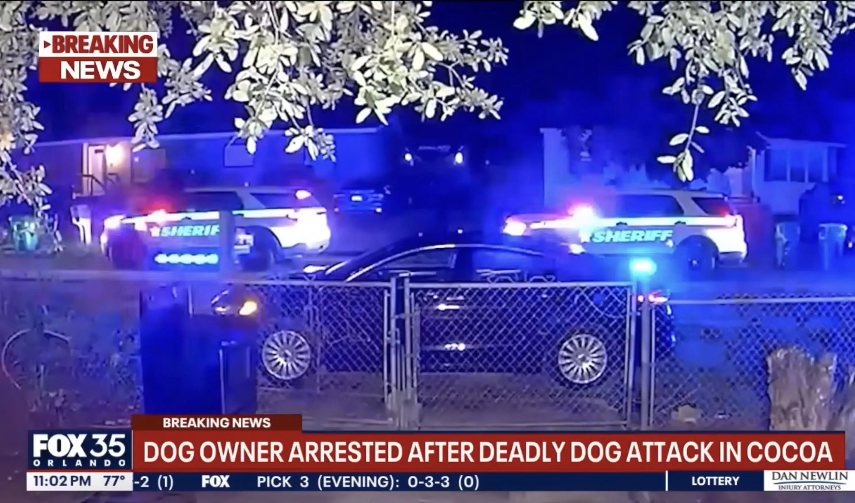 Brevard County pitbull attack