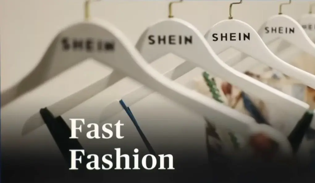 Shein's purchases Everlane