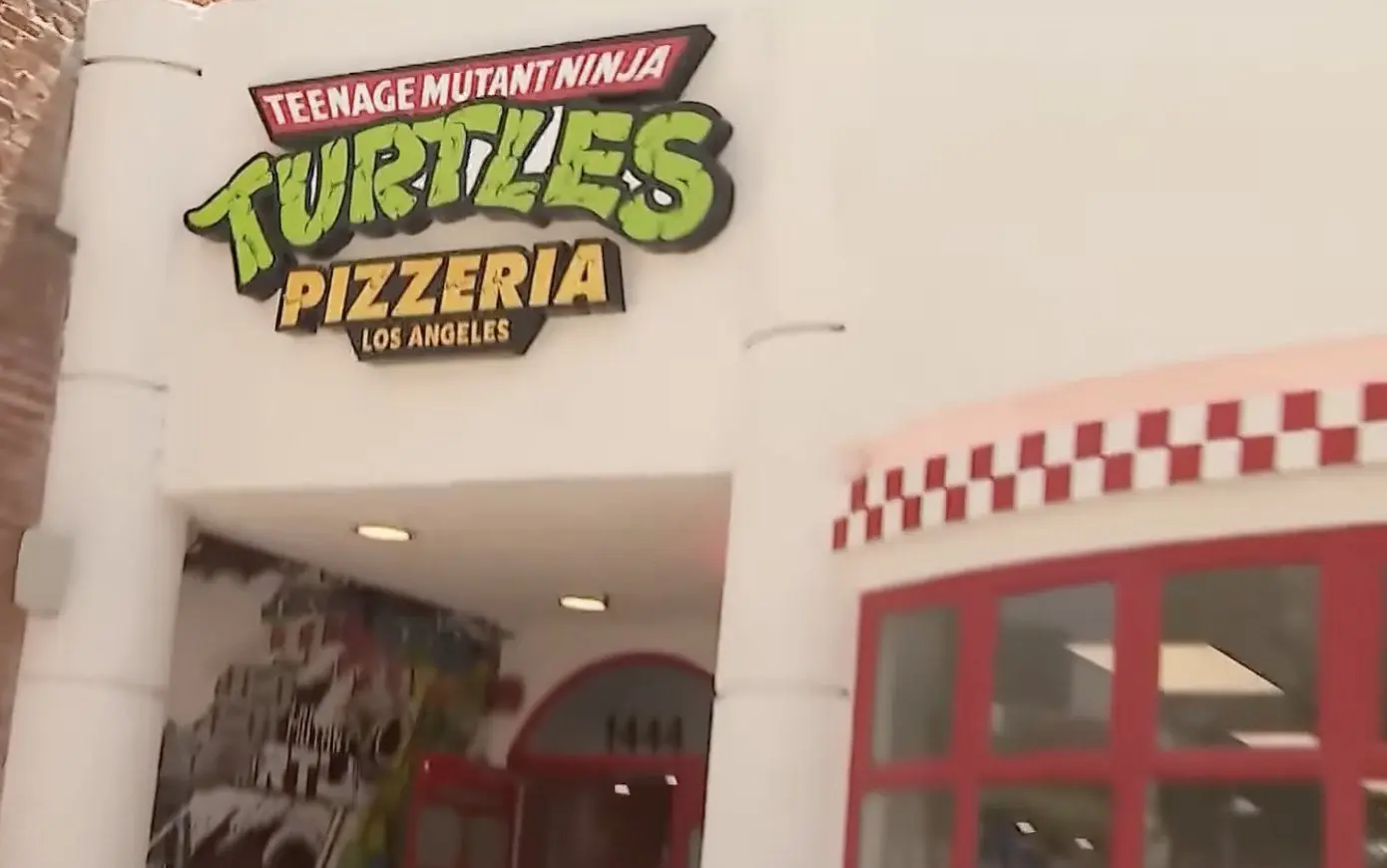 tmnt pizza photo
