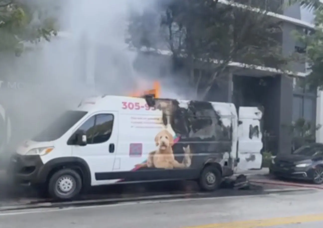 Pet grooming vehicle