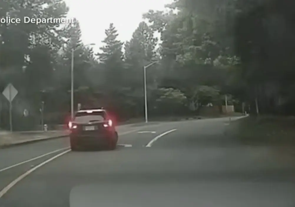 Road rage