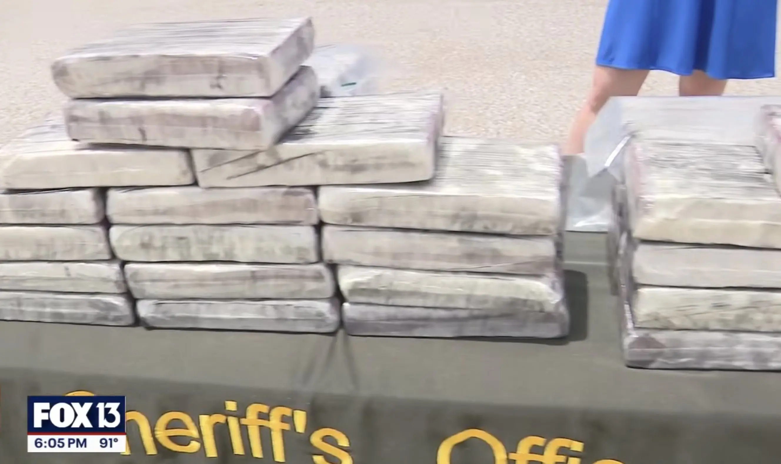 Pinellas County Drug Bust
