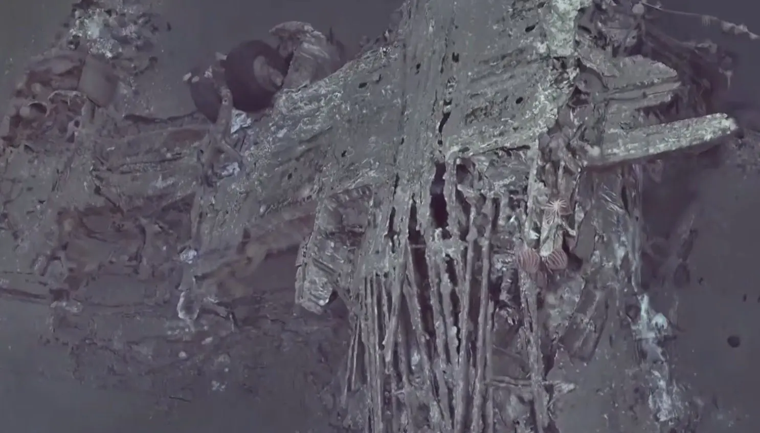 Pan Am Wreckage From 1952 Found