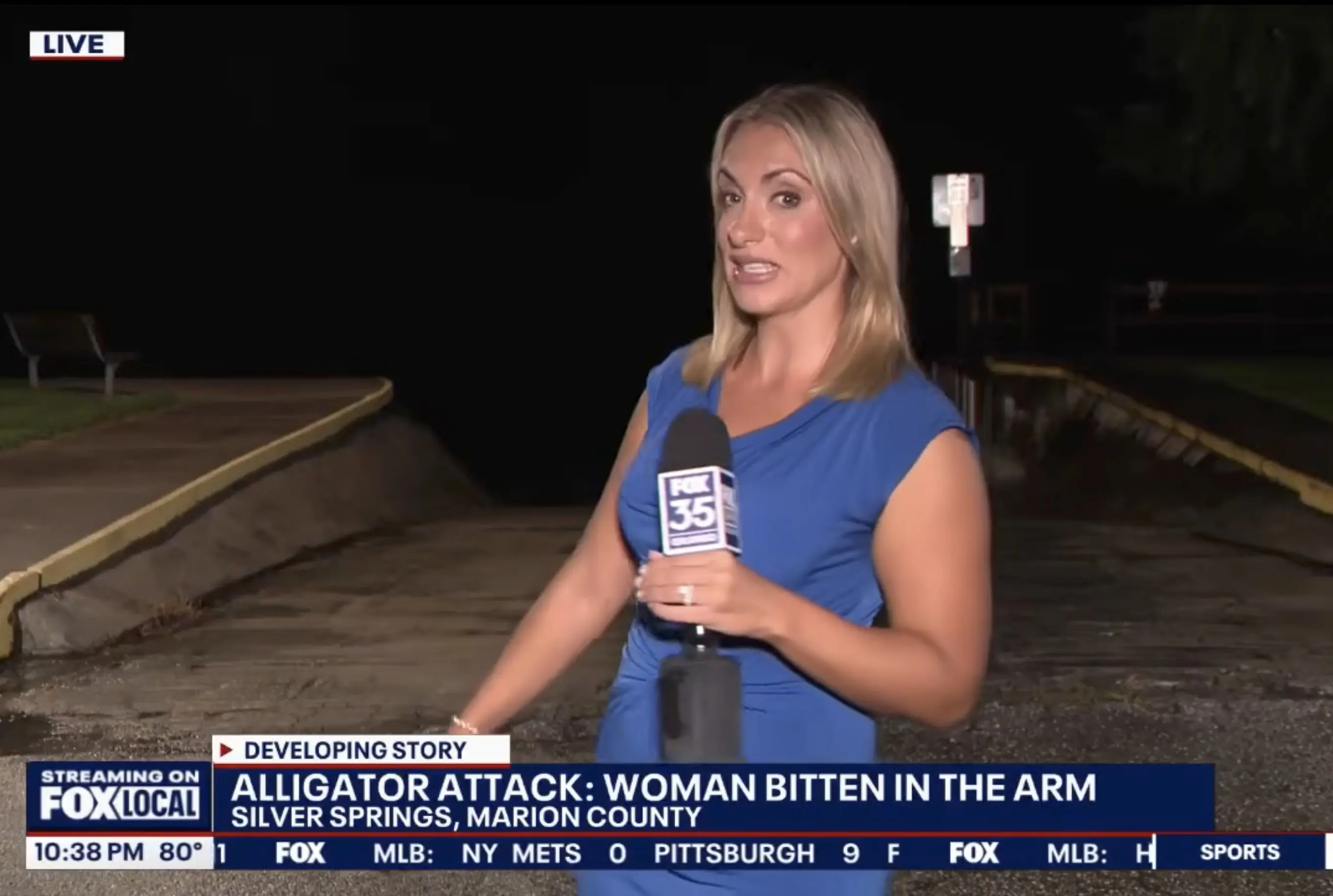 Alligator Attack in Marion County