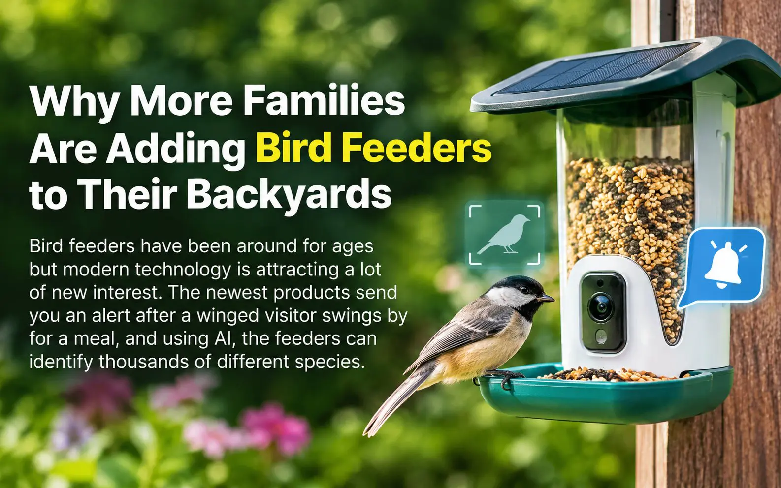 Bird feeders