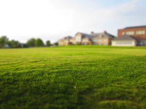 Parkland landscapers