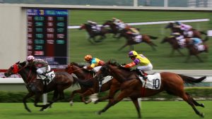 Thoroughbred Racing