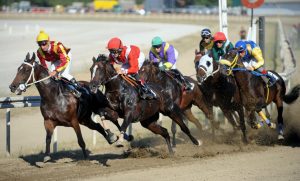 Thoroughbred Racing