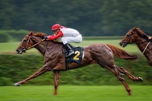 Thoroughbred Horse Racing