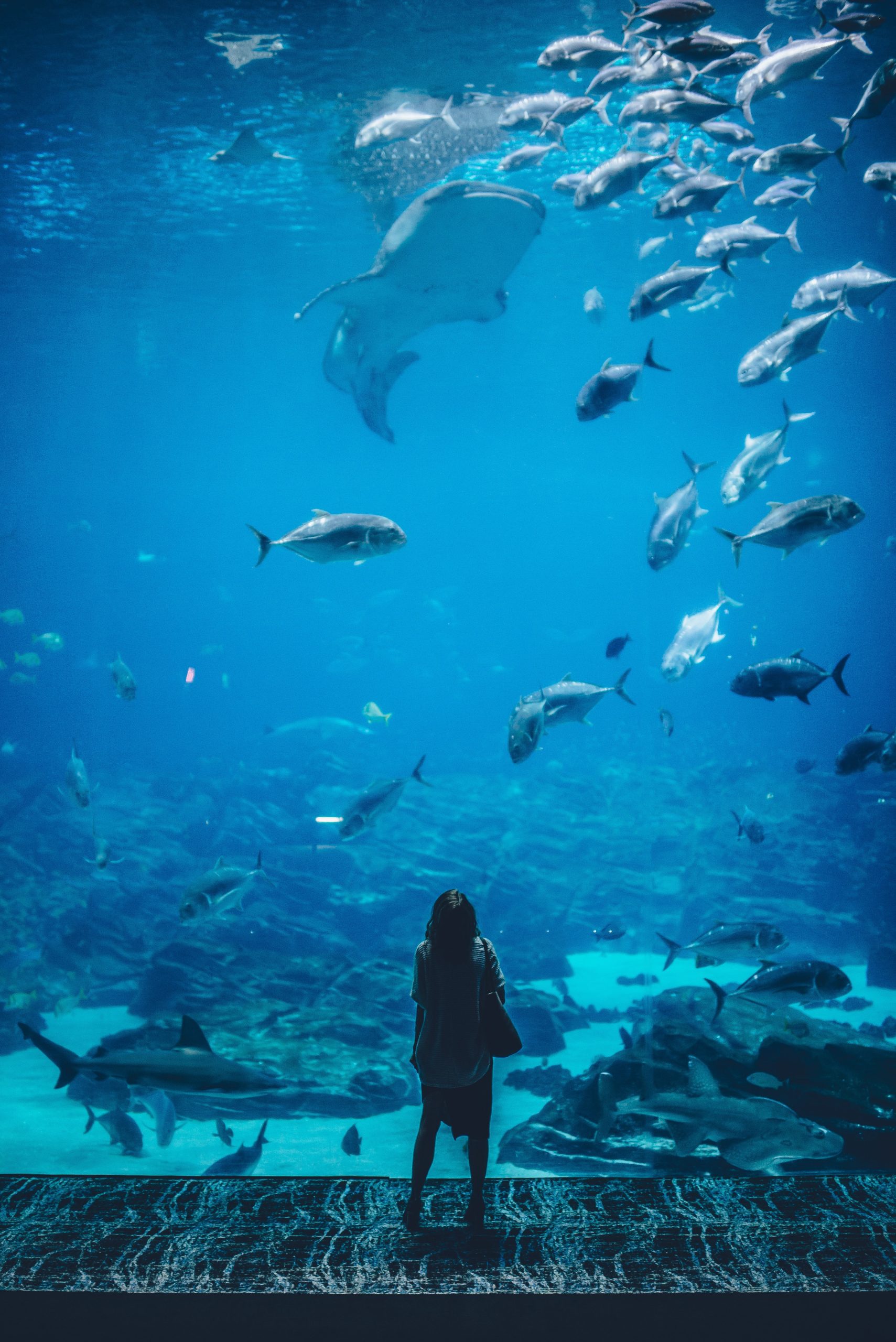 ian schneider 0qpPV5nrhwo unsplash scaled