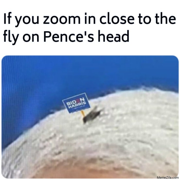 If you zoom in close to the fly on Pences head meme 7285