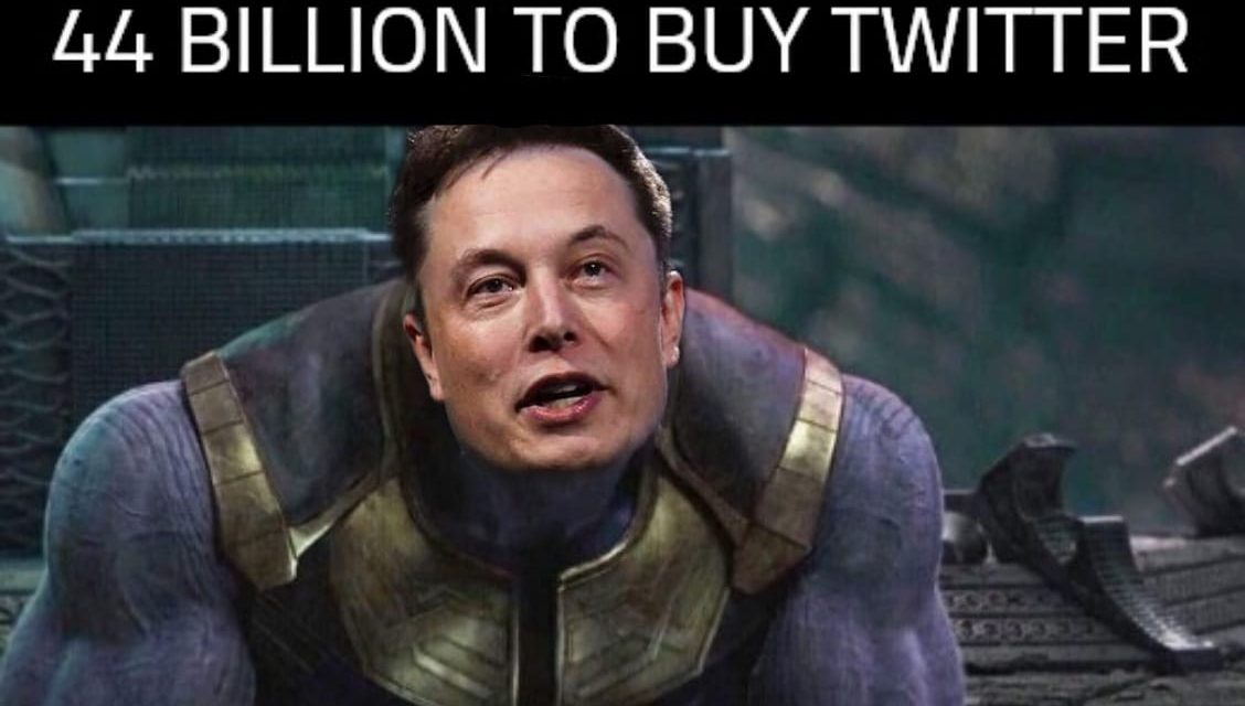 The Best Elon Musk Buys Twitter Memes