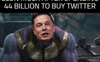 The Best Elon Musk Buys Twitter Memes