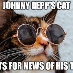 LOL Johnny Depp and Amber Heard Trial Memes