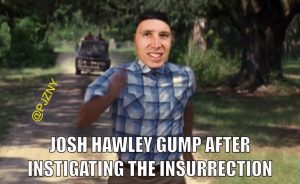 Hawley Gump Memes