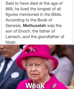 queen of great Britain meme