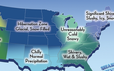 Winter Survival Guide for all States