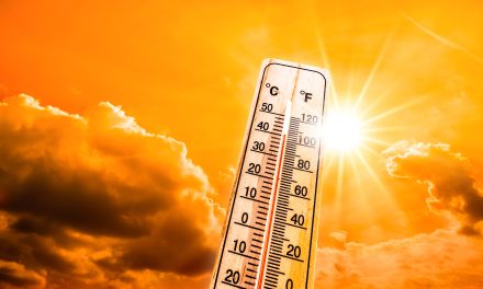 Extreme Heat Disrupts Activities in Florida, Sparks Climate Change Concerns
