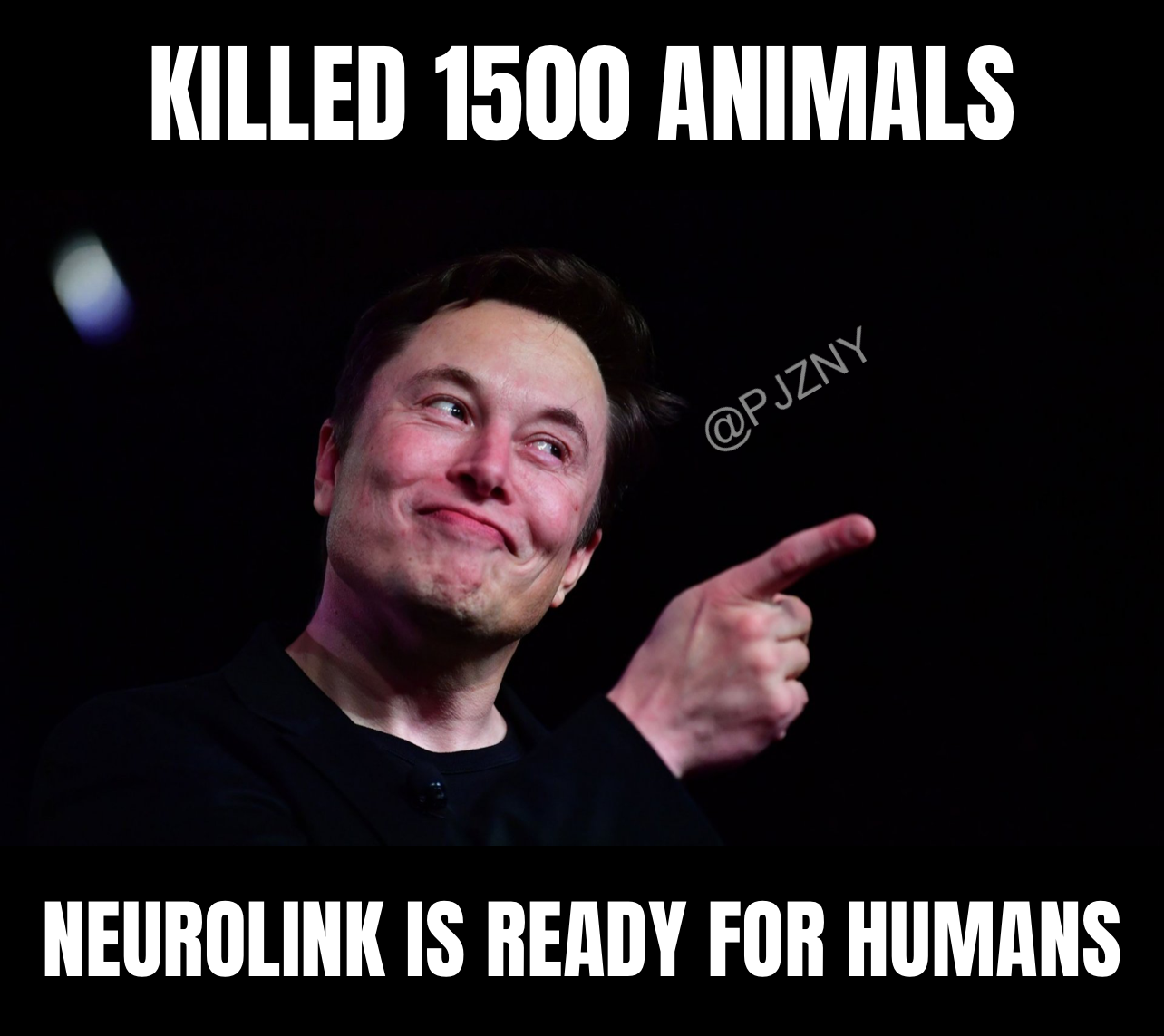 Nueralink Elon Musk Meme