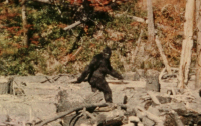 Unraveling the Mystery of Bigfoot
